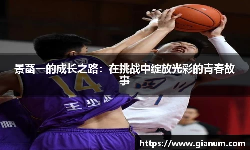 景菡一的成长之路：在挑战中绽放光彩的青春故事